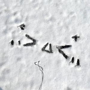 免费🔞无码进口动漫
