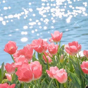 免费🔞无码进口动漫
