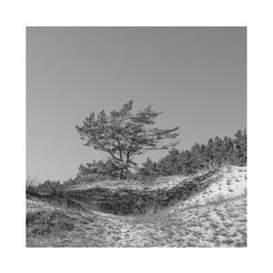 免费🔞无码进口动漫
